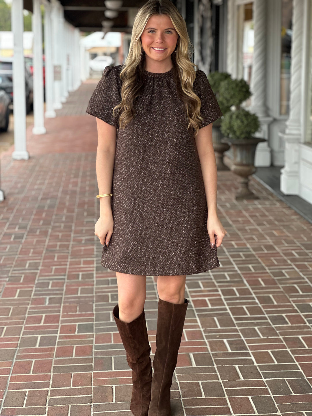 Ivy Jane Metallic Tweed Dress in Brown