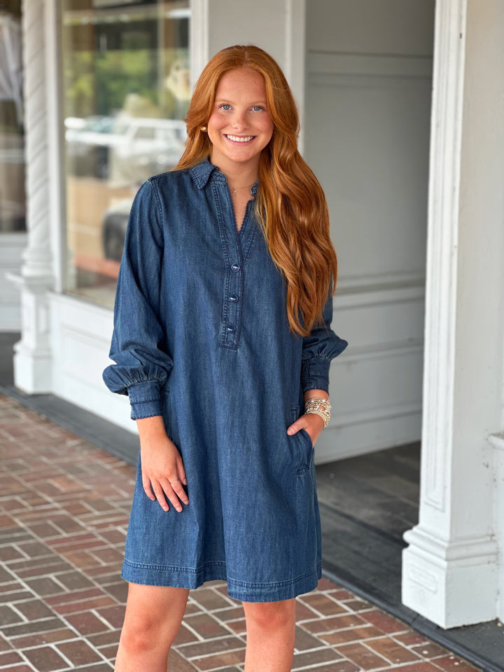 Denim V-Neck Dress