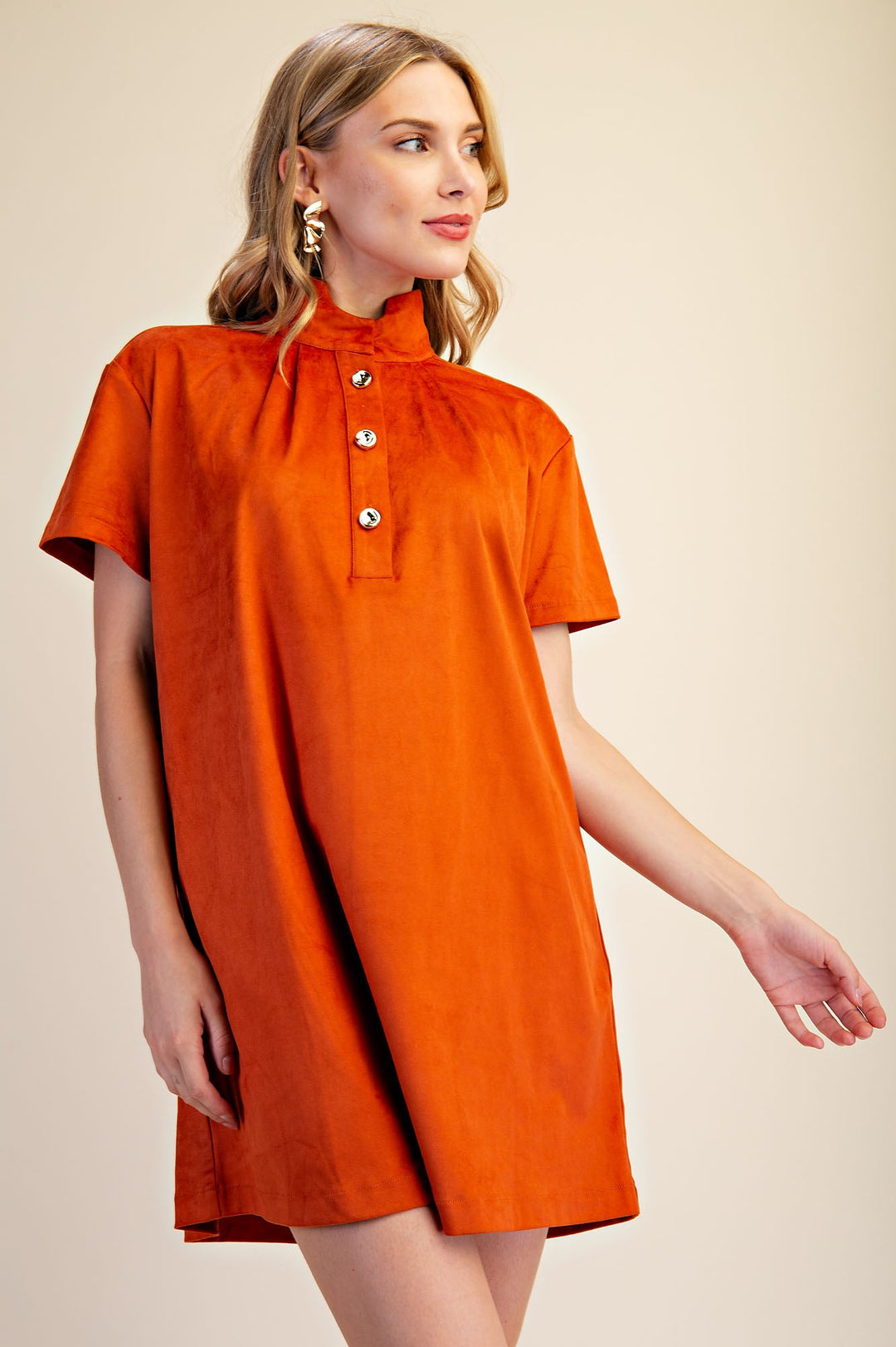 Stand Collar Brush Mini Dress in Rust