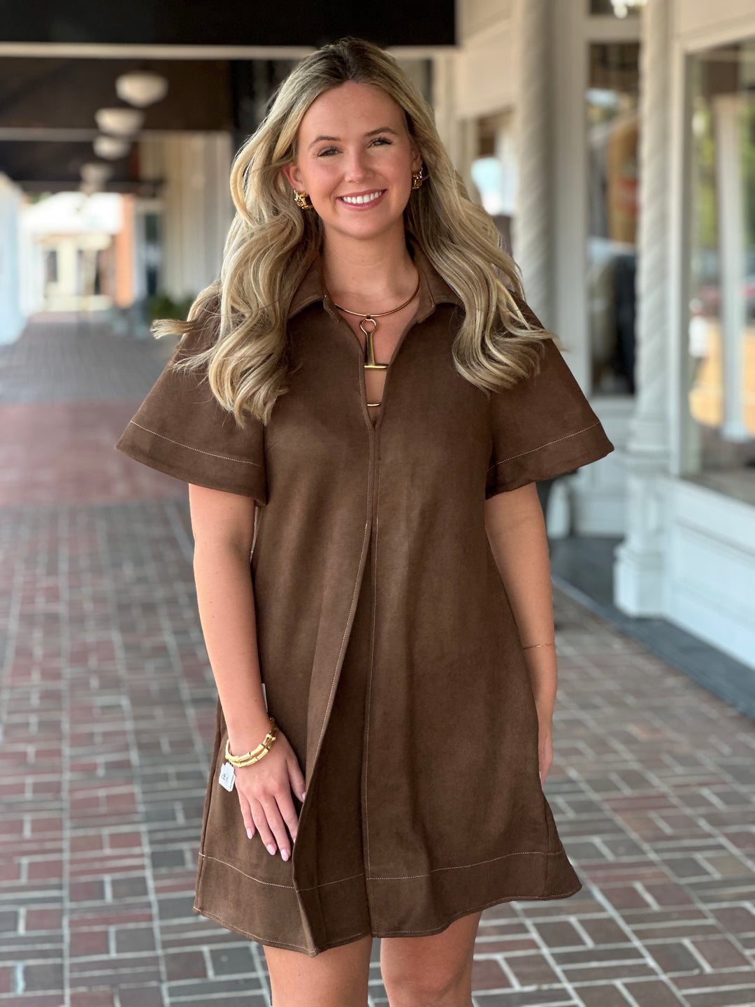 Collar Suede Mini Dress in Brown