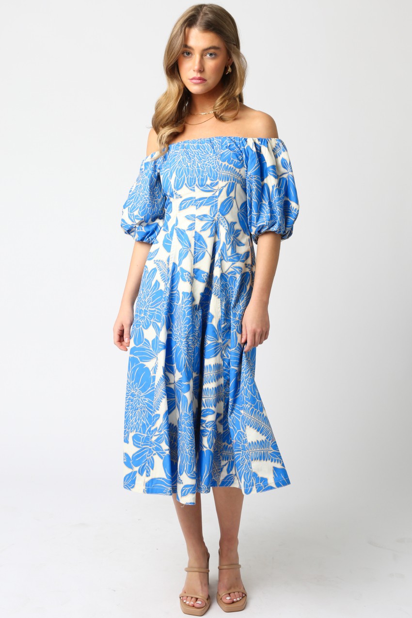 Selina Floral Balloon Dress in White Blue