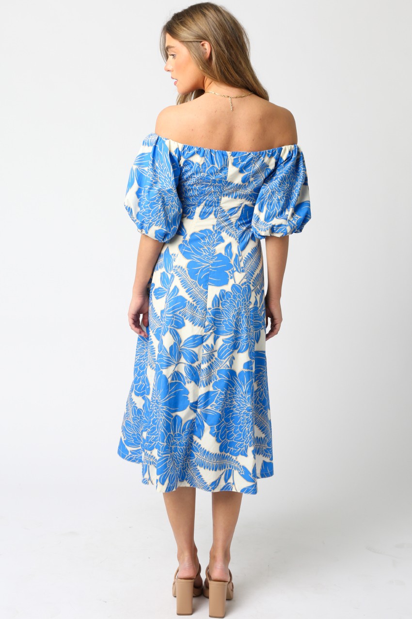 Selina Floral Balloon Dress in White Blue