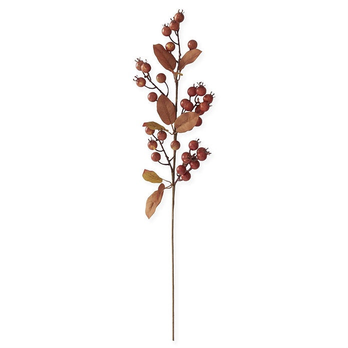 31 in Dark Orange Berry Stem
