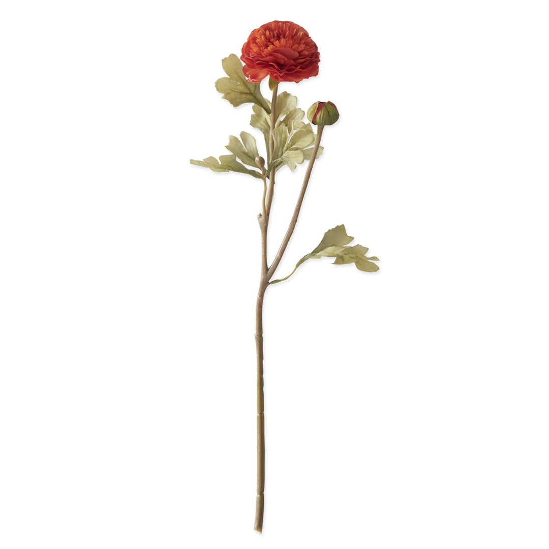 21 Inc Orange Blossom & Bud Ranunculus