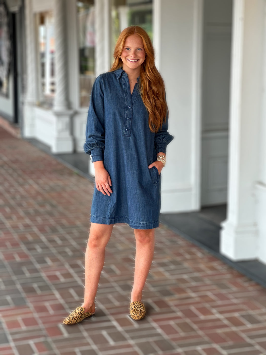 Denim V-Neck Dress