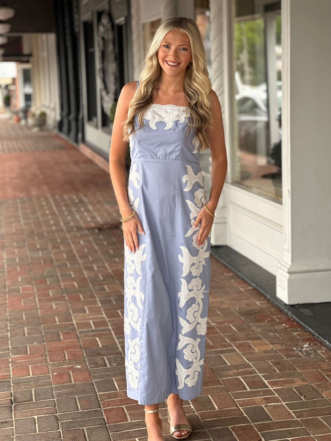 anna cate maxi dress Anna Cate Blue Tiger Print Maxi I Would Never
