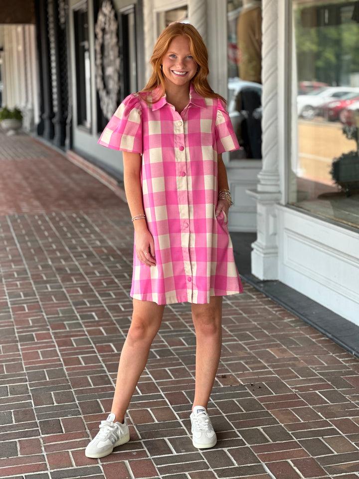 In All The Best Ways Red Gingham Mini Dress