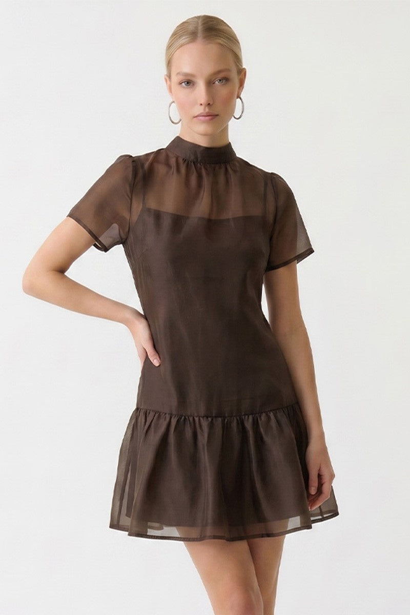 One More Reason Brown Mini Dress