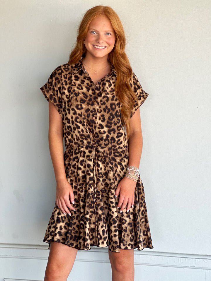 Animal Print Tie Front Dress