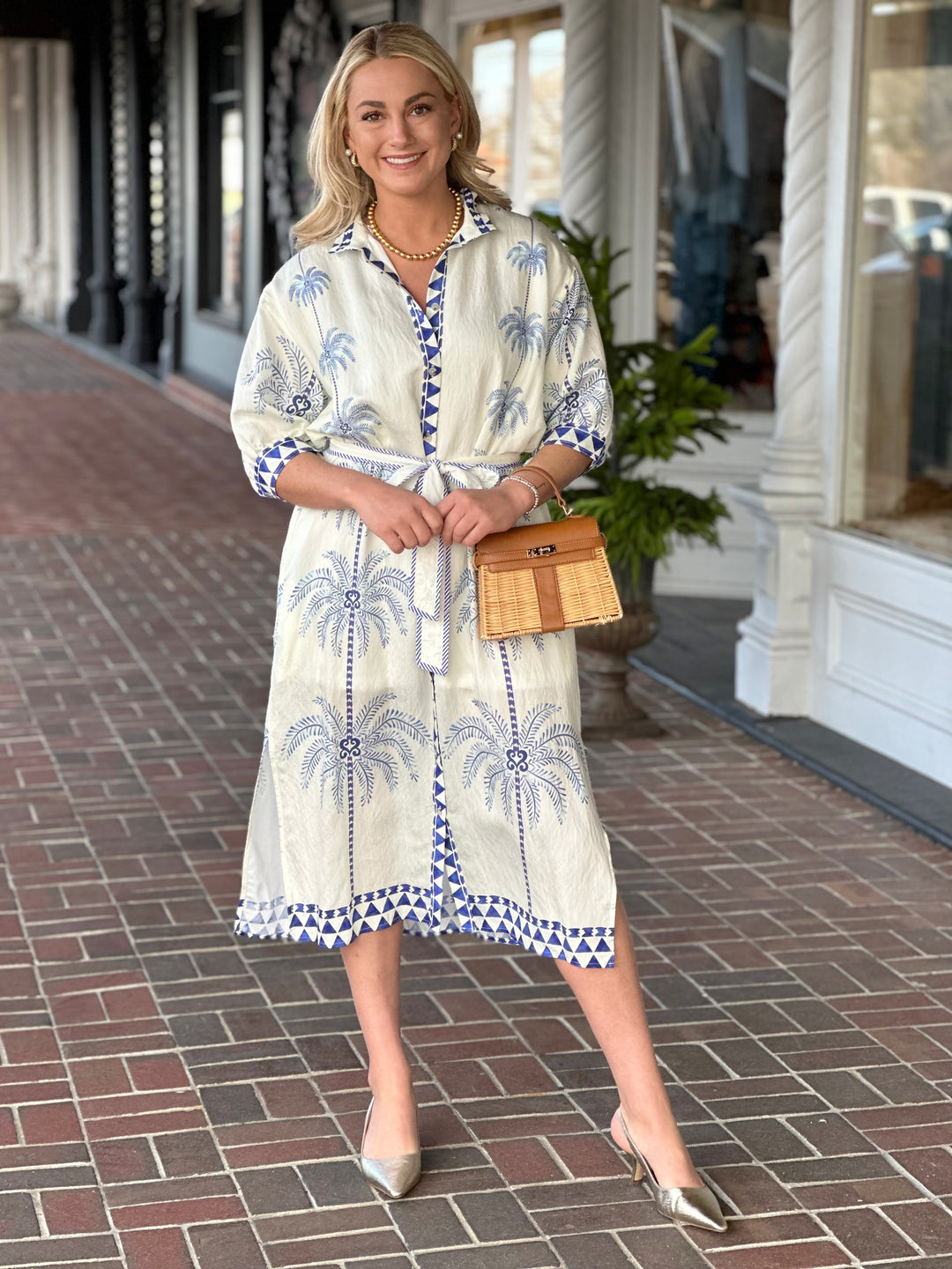 Blue Palms Printed Puff Sleeve Dress