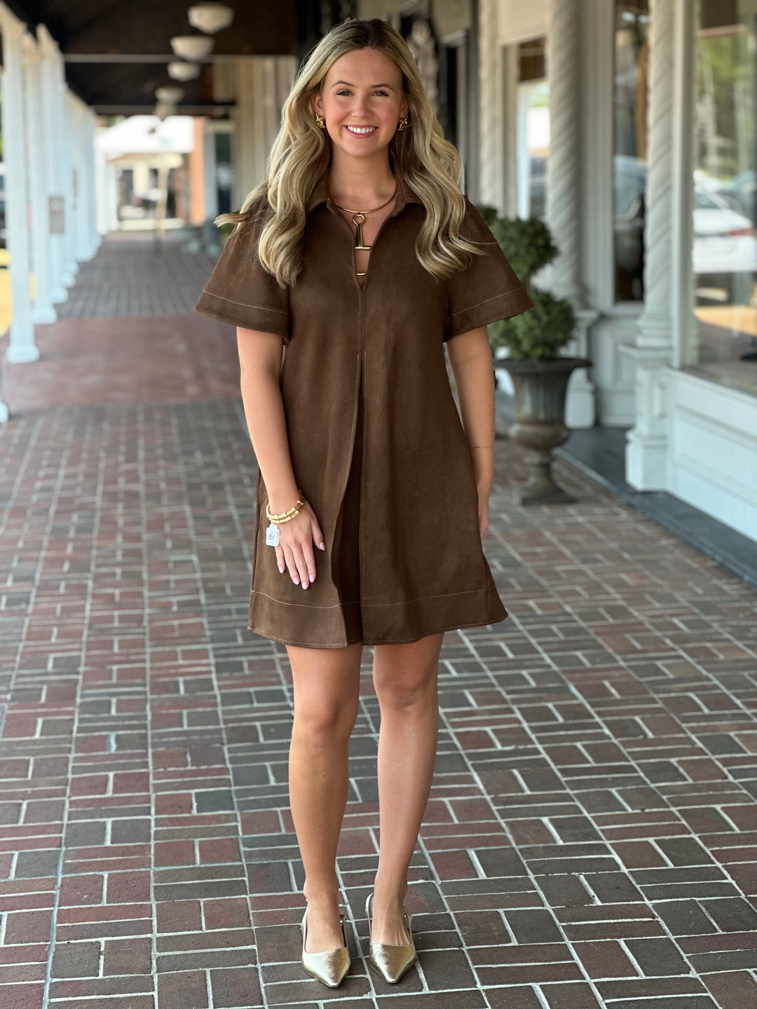 Collar Suede Mini Dress in Brown