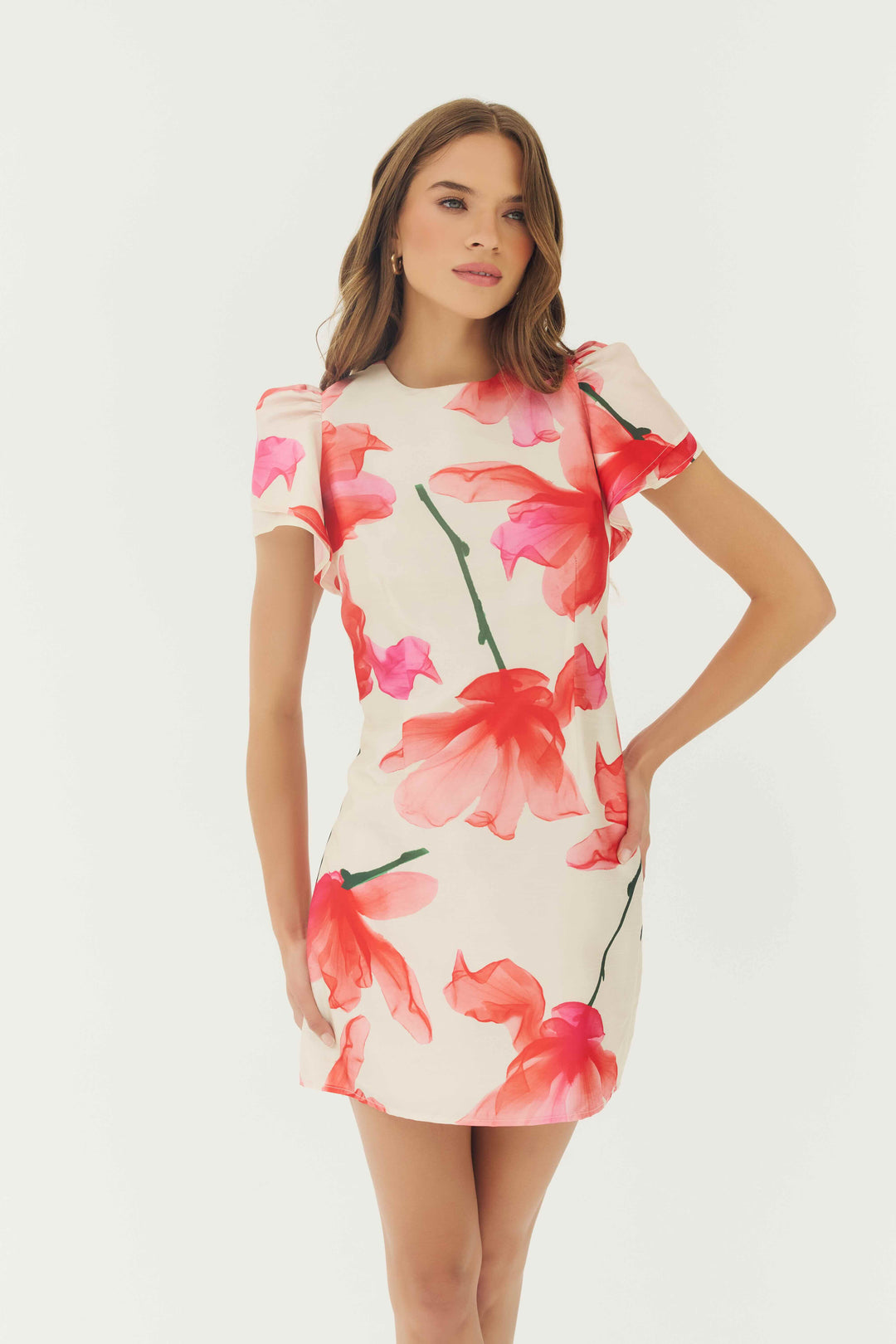 Hutch Vatti Dress in Ivory Red Floral