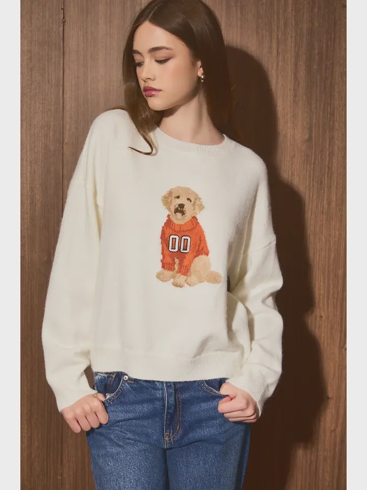 Oversized Game Day Dog Knit Sweater in Orange