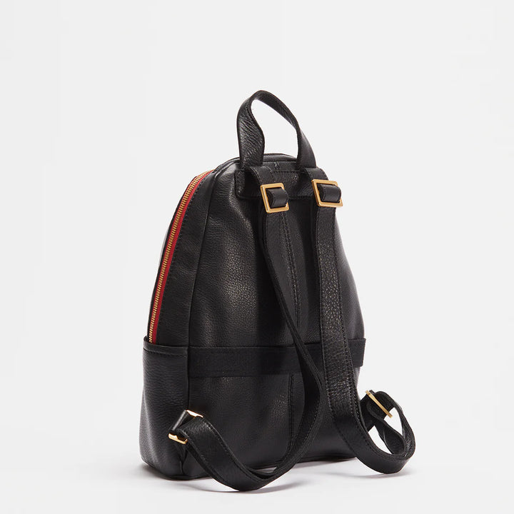Hammitt Hunter Medium Backpack in Black/Brushed Gold Red Zip