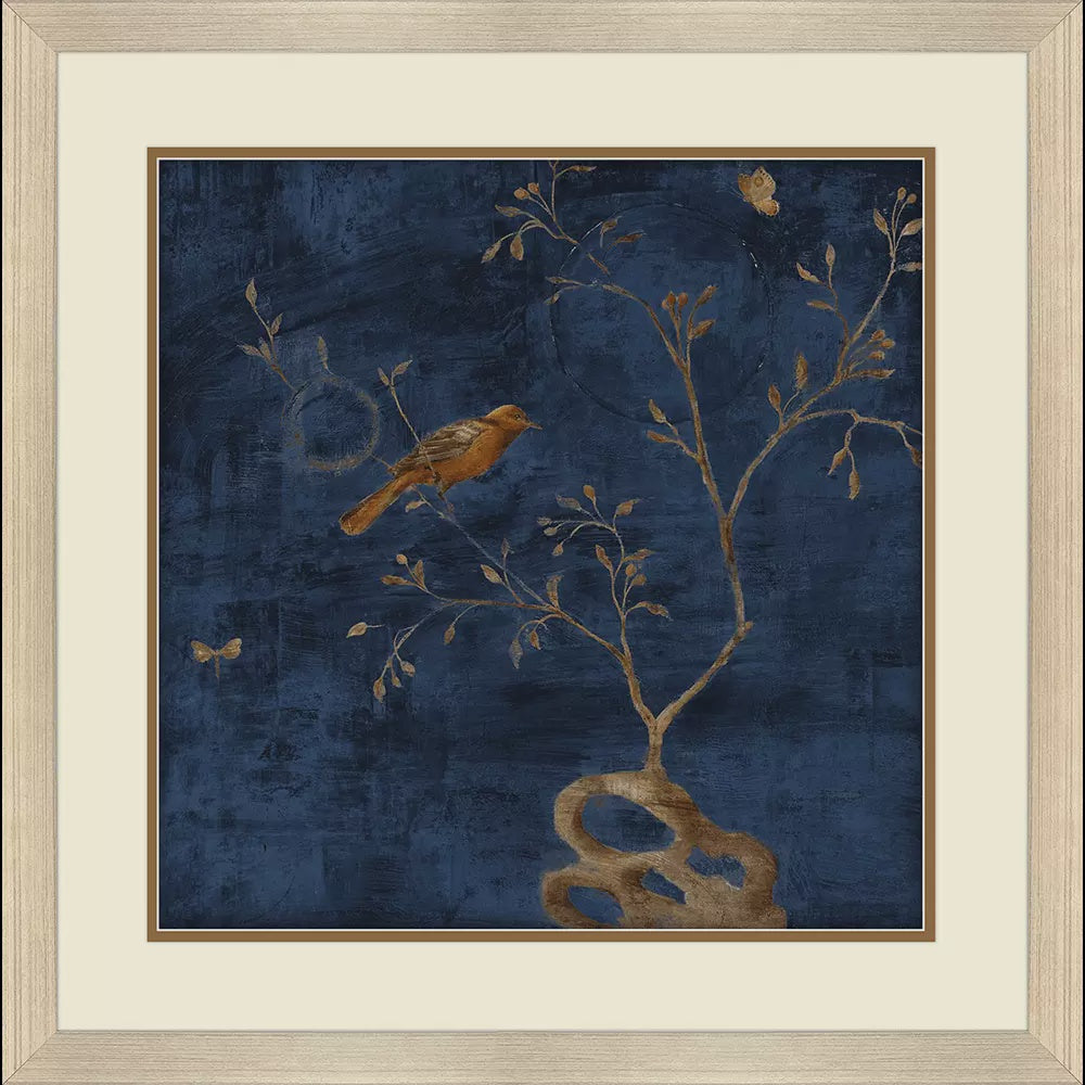 Oriole II Frame