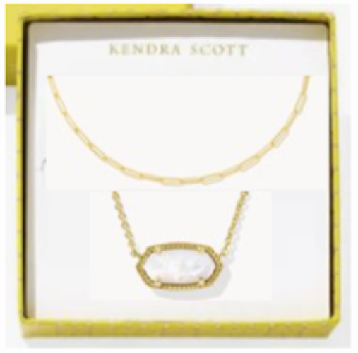 Kendra Scott Elisa and Courtney Necklace Gold Gift Set